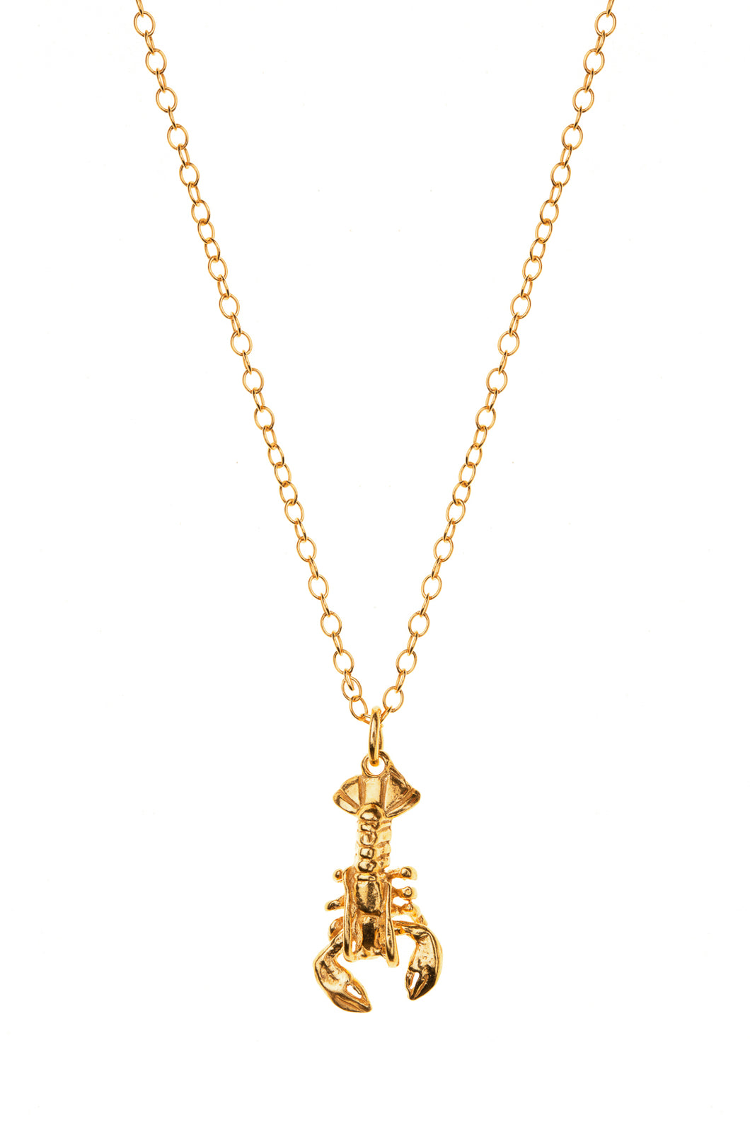 Gold Lobster Charm Necklace