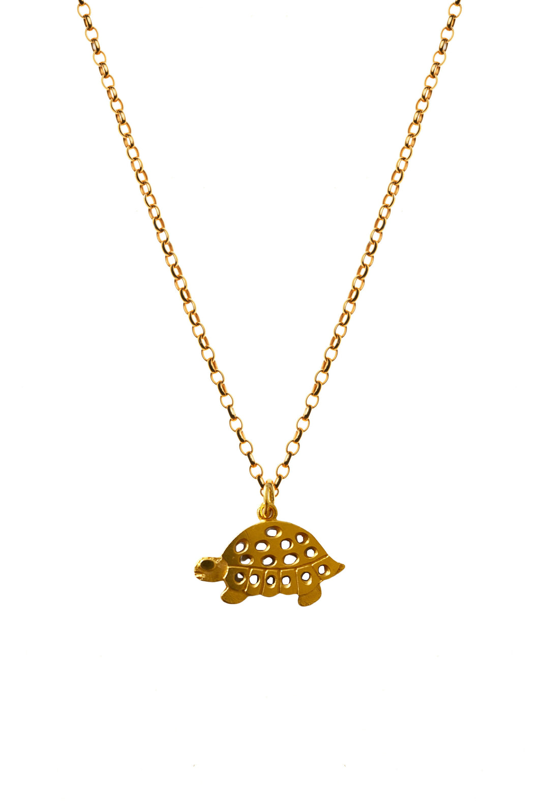 Gold Terence Turtle Charm Necklace
