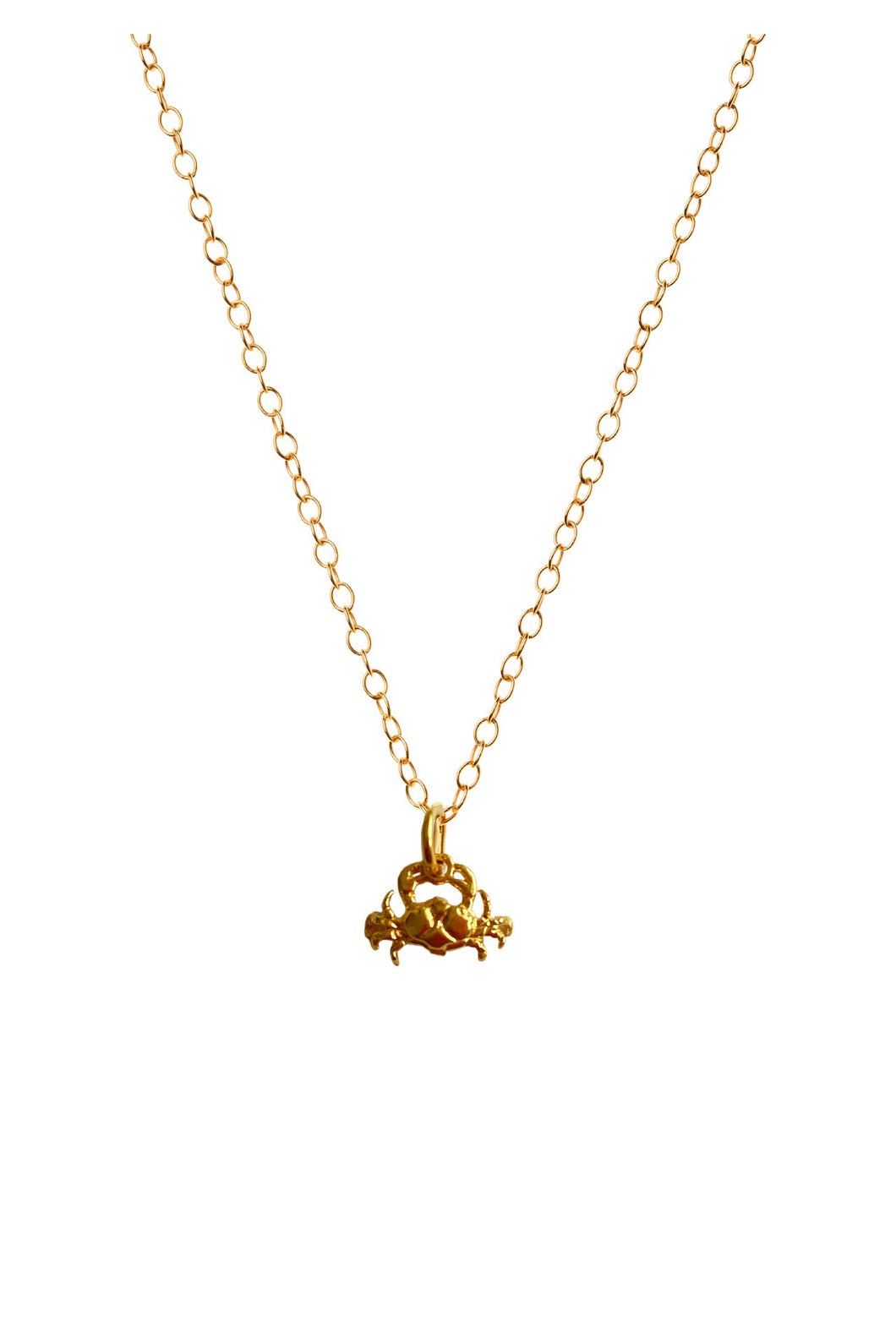 Mini Crab Necklace Vintage Charm Necklace