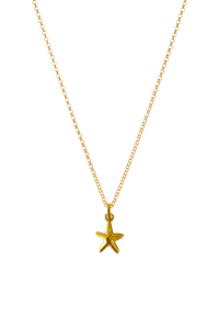 Gold Simple Starfish Charm Necklace