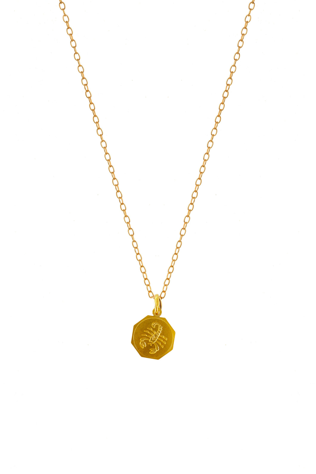 Gold Scorpio Disc Charm Necklace